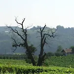 - Camping- Weinhof Radl * Klöch