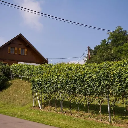 홈스테이 Gaestehaus - Camping- Weinhof Radl Klöch