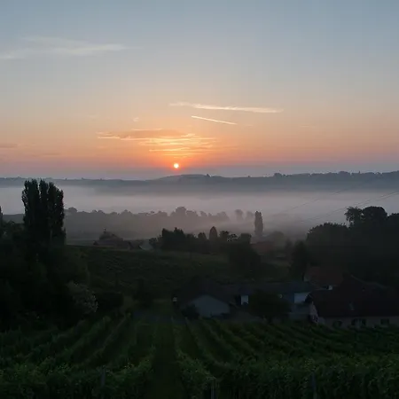 Gaestehaus - Camping- Weinhof Radl Homestay szállás