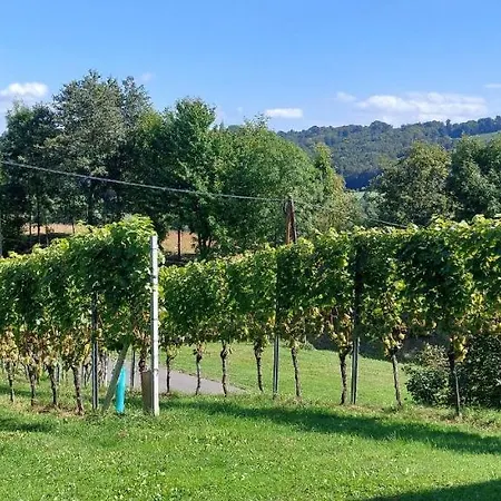 Gaestehaus - Camping- Weinhof Radl 홈스테이