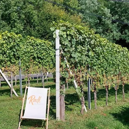 Gaestehaus - Camping- Weinhof Radl Homestay szállás Klöch