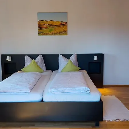 Pansiyon Gaestehaus - Camping- Weinhof Radl