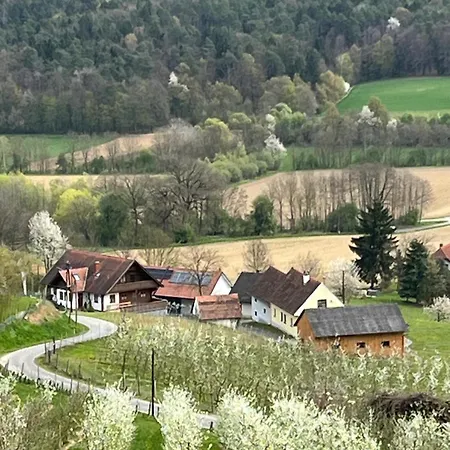 Gaestehaus - Camping- Weinhof Radl *