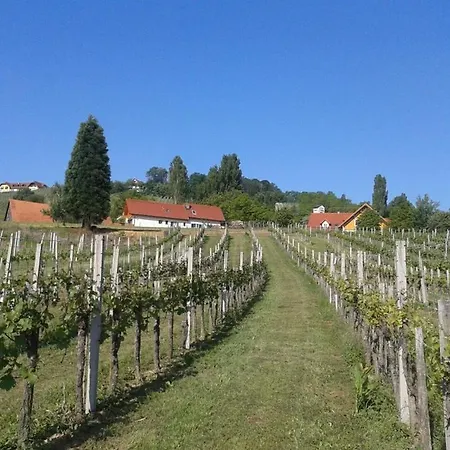 Gaestehaus - Camping- Weinhof Radl *