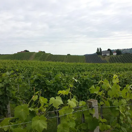 Gaestehaus - Camping- Weinhof Radl Klöch