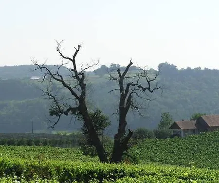 Gaestehaus - Camping- Weinhof Radl * Klöch