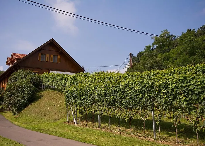 Séjour chez l'habitant Gaestehaus - Camping- Weinhof Radl Klöch