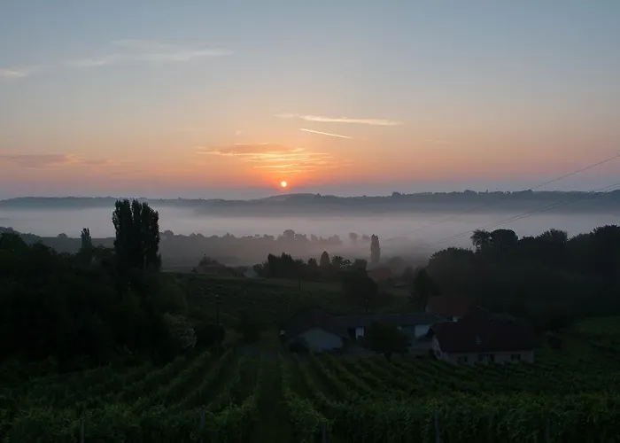 Gaestehaus - Camping- Weinhof Radl Séjour chez l'habitant