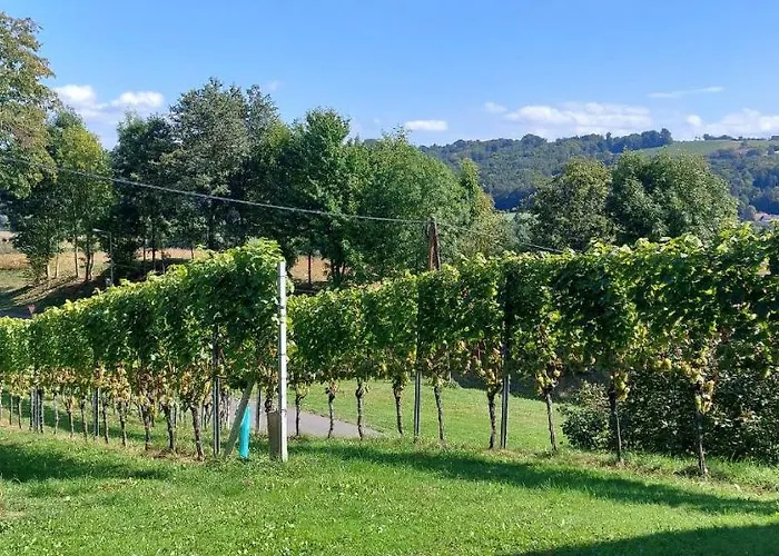 Gaestehaus - Camping- Weinhof Radl Séjour chez l'habitant
