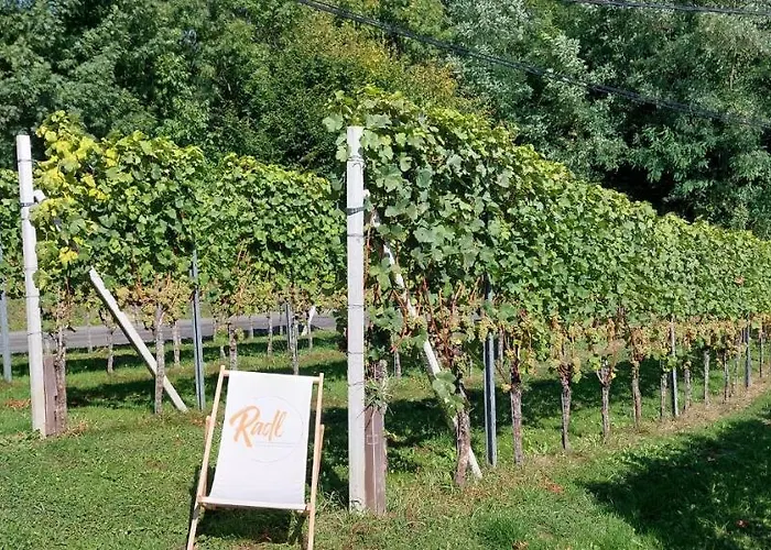 Gaestehaus - Camping- Weinhof Radl Pansiyon Klöch