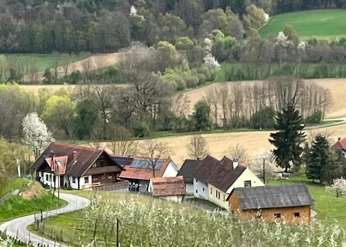 Gaestehaus - Camping- Weinhof Radl *