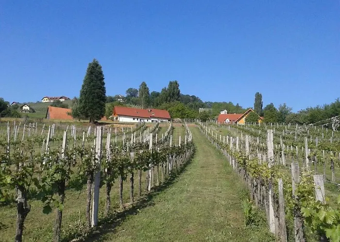 Gaestehaus - Camping- Weinhof Radl *