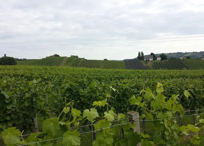 Gaestehaus - Camping- Weinhof Radl Klöch