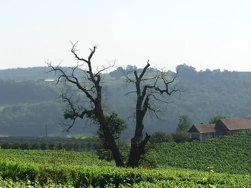 Gaestehaus - Camping- Weinhof Radl * Klöch